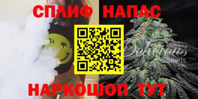 наркотики Сланцы