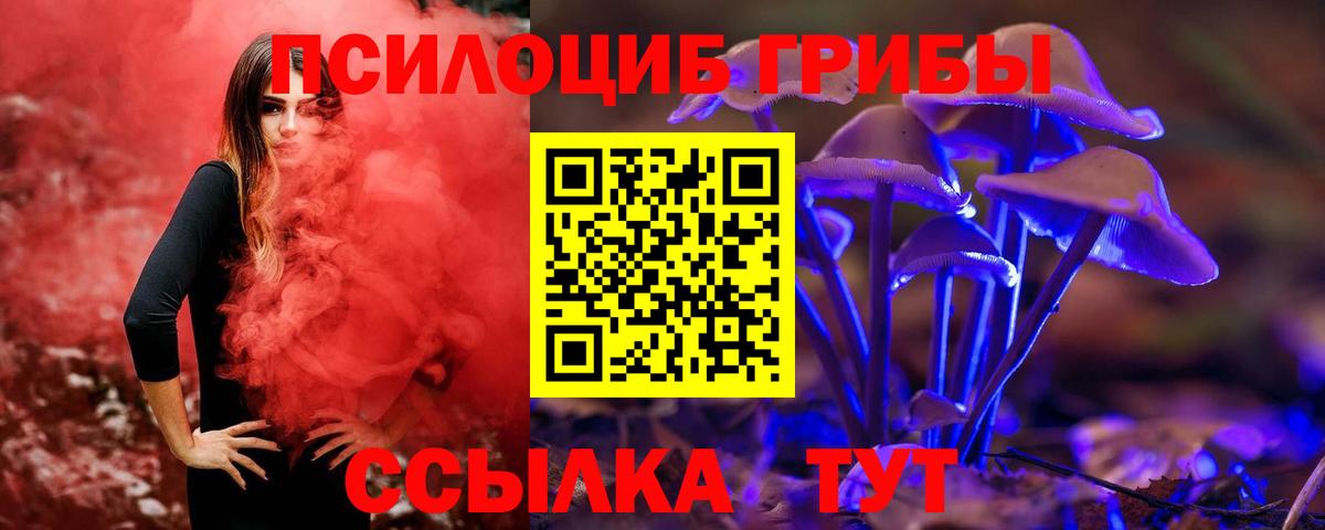 Псилоцибиновые грибы прущие грибы  Галлюциногенные грибы мухоморы  Скопин  Вход с VPN 